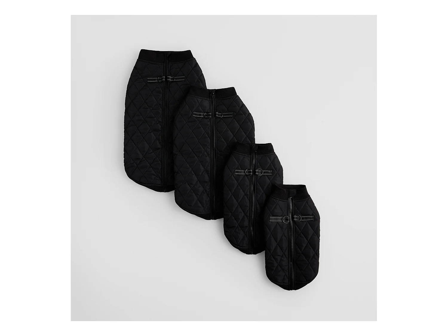 Vêtement Pour Animal Celio 36x57 Polyester