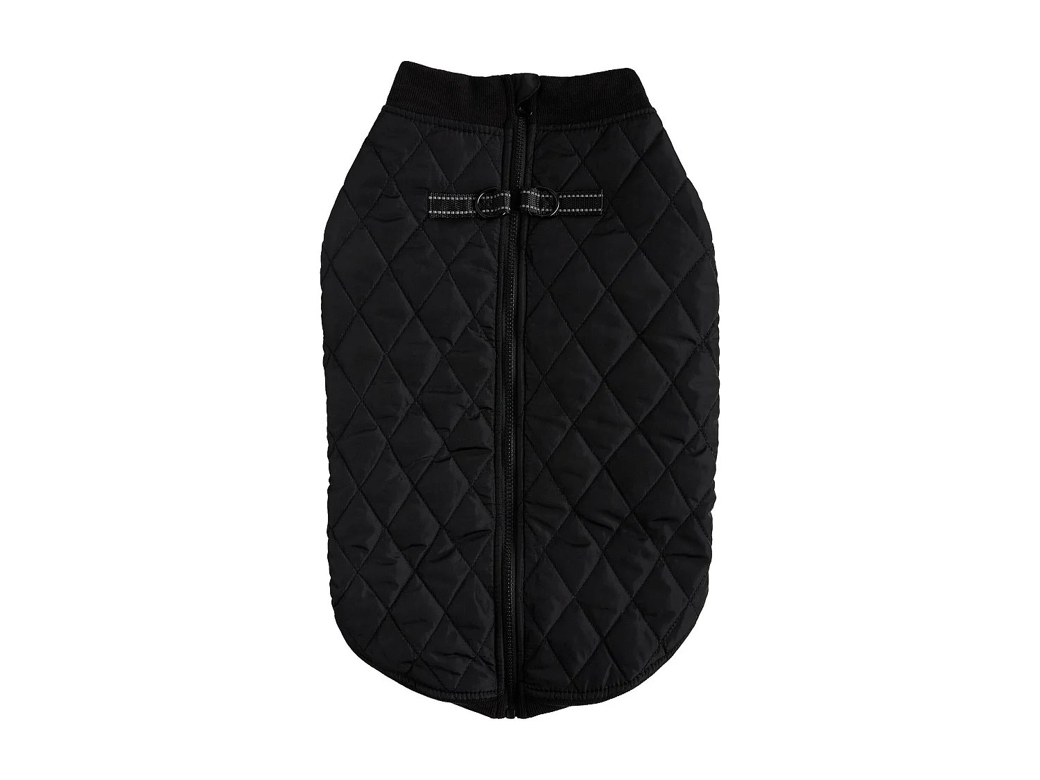 Haustier-Outfit Celio