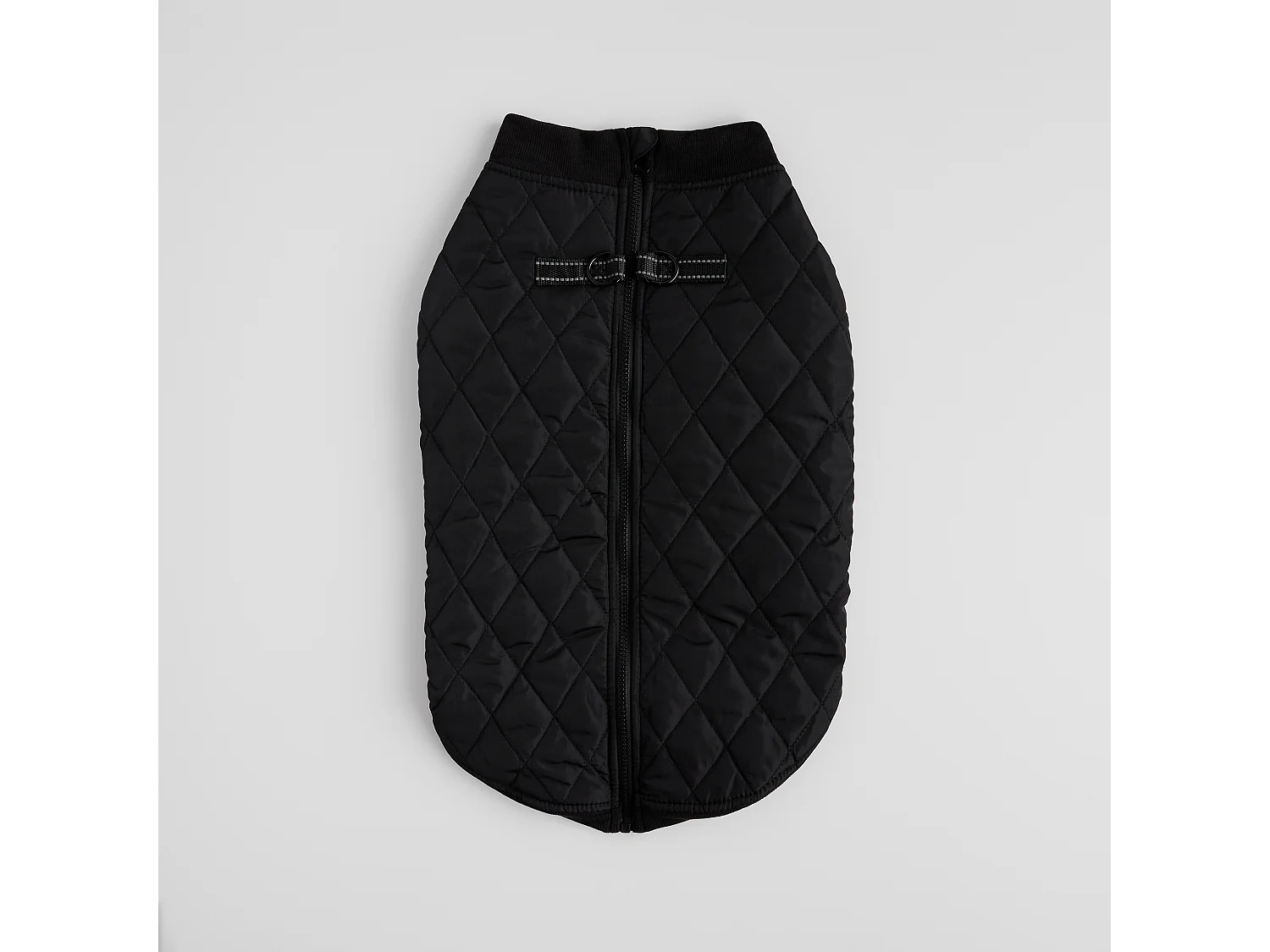 Haustier-Outfit Celio