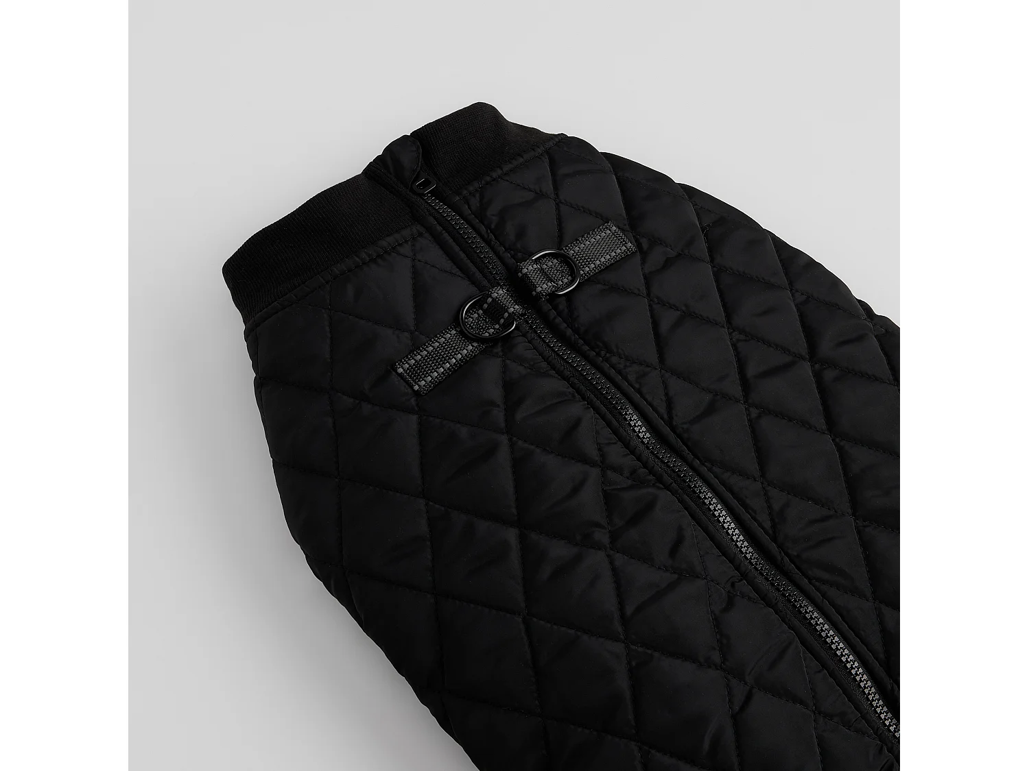 Haustier-Outfit Celio