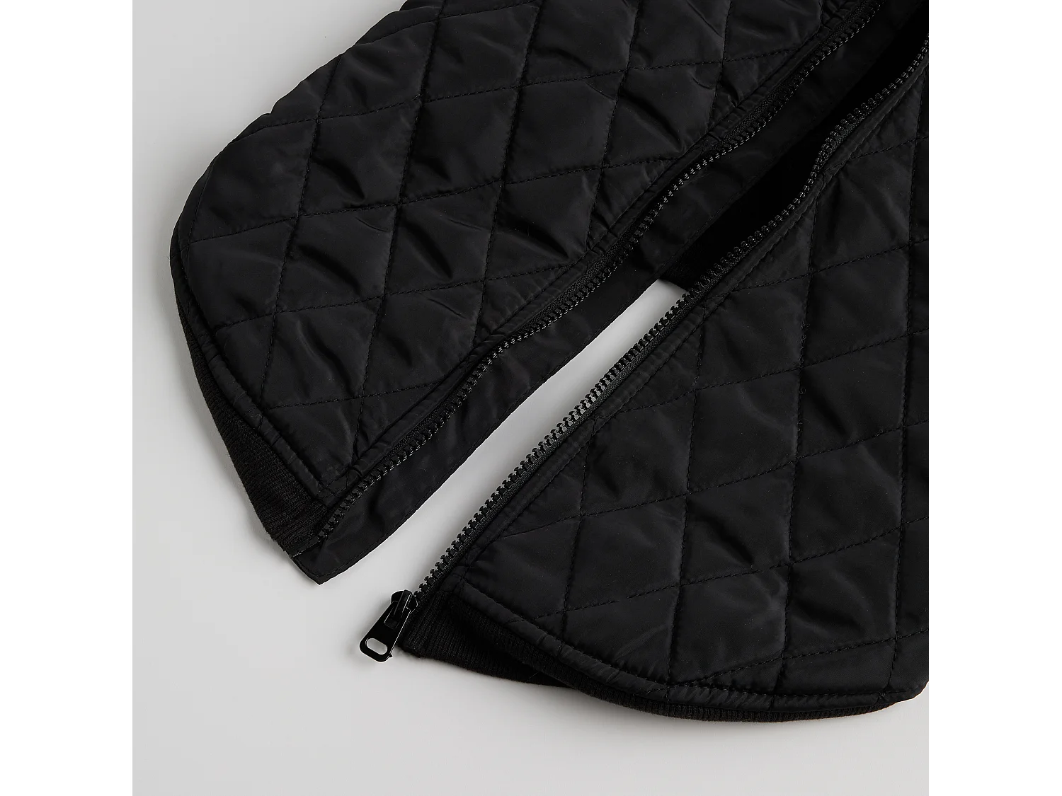 Haustier-Outfit Celio