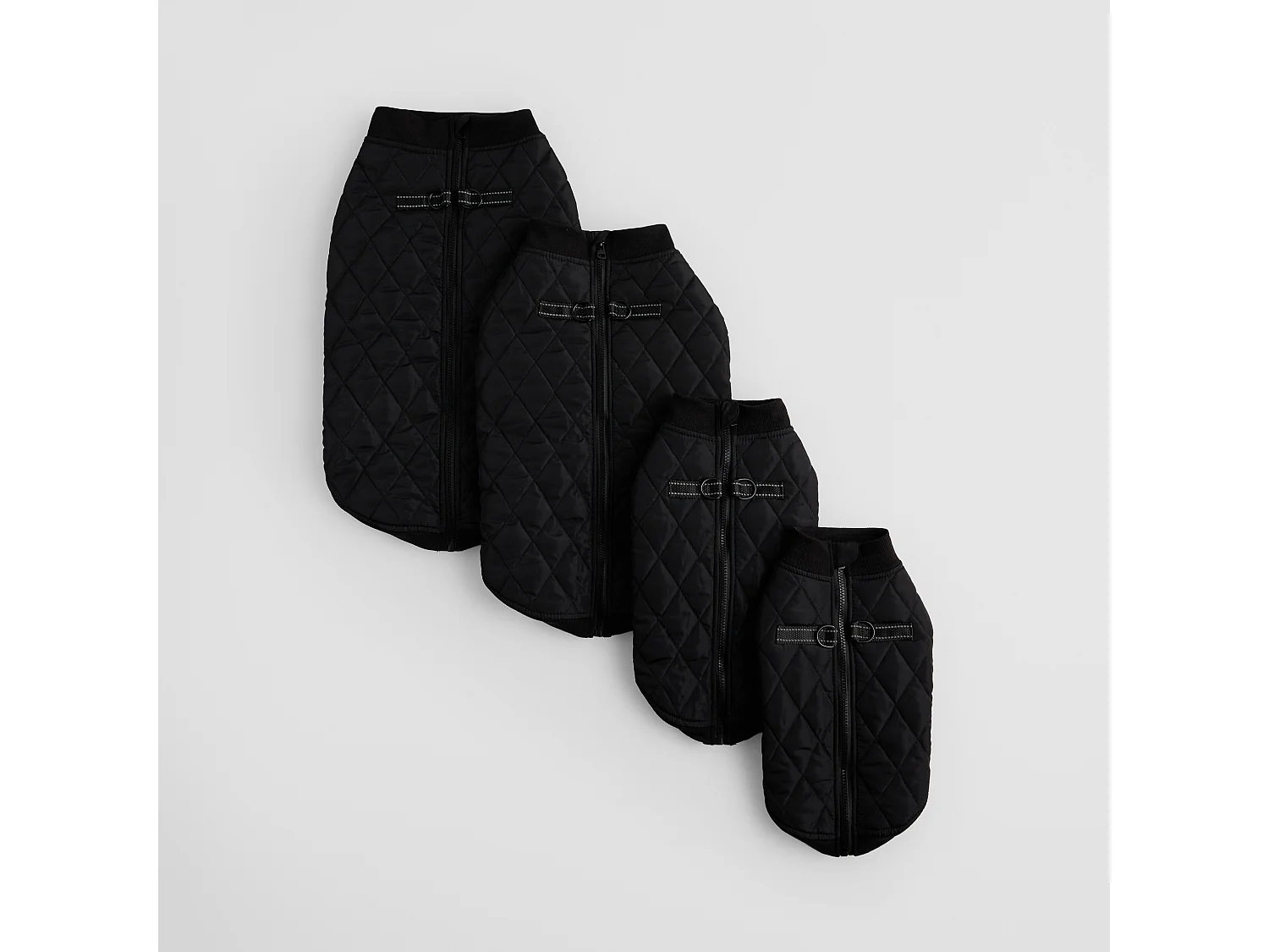 Haustier-Outfit Celio