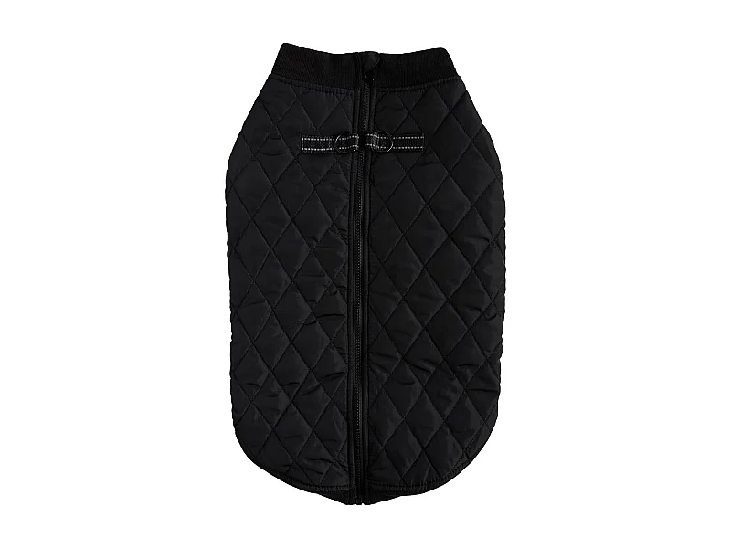 Haustier-Outfit Celio