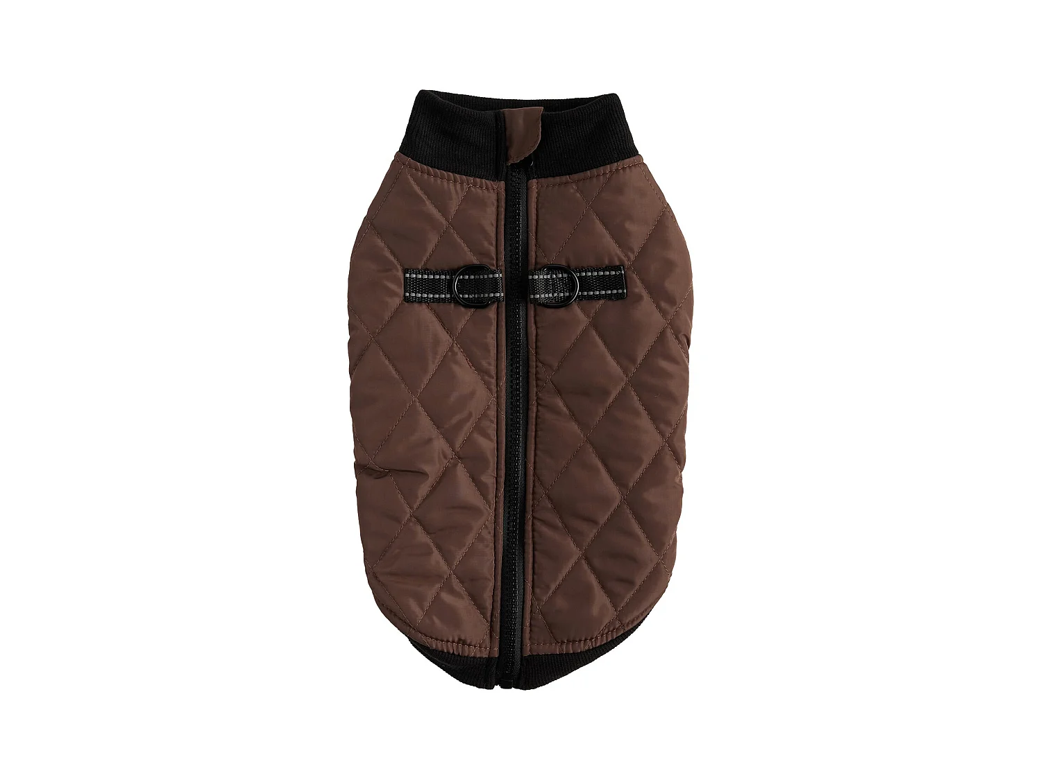 Haustier-Outfit Celio