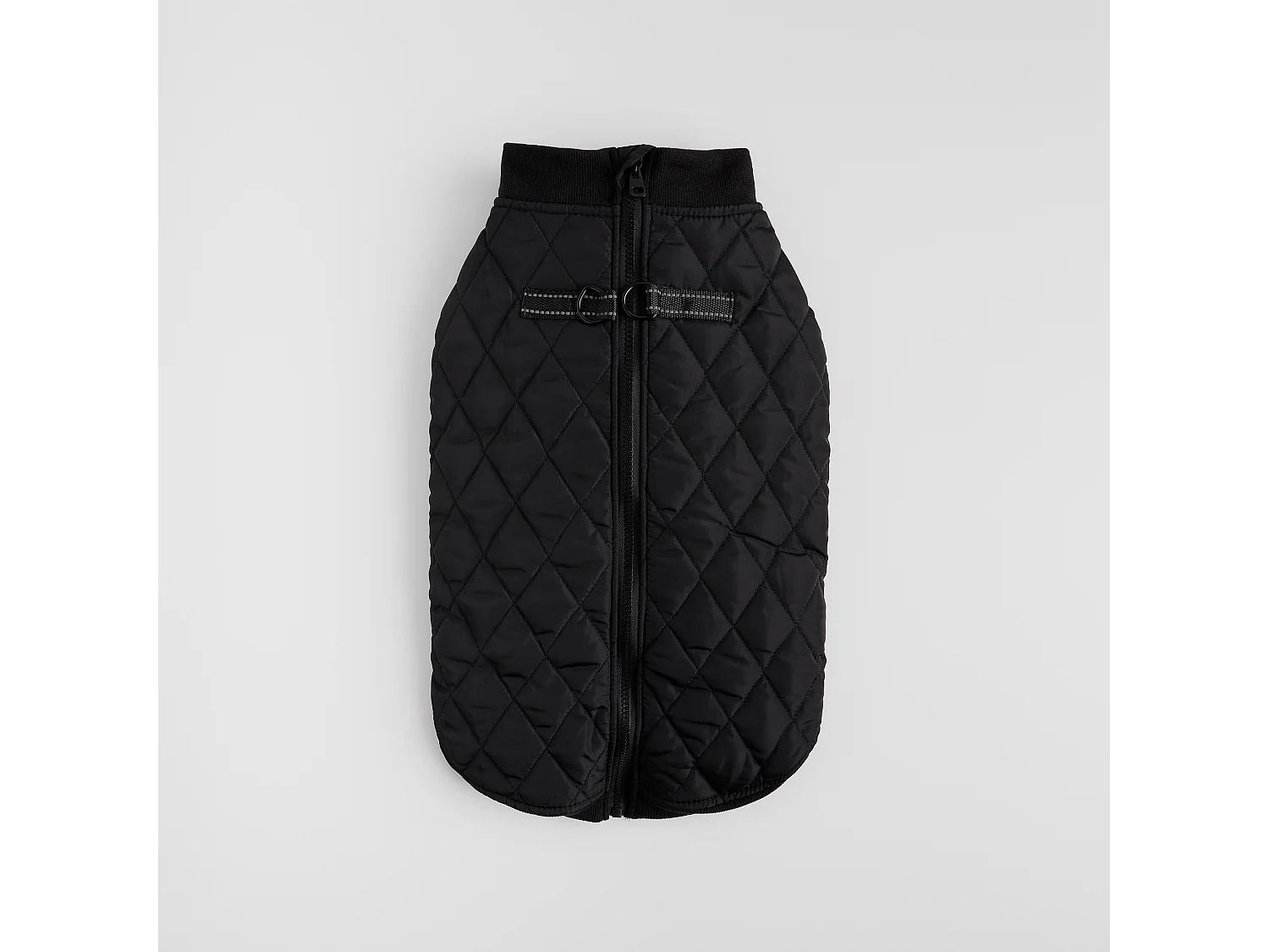 Vêtement Pour Animal Celio L Polyester