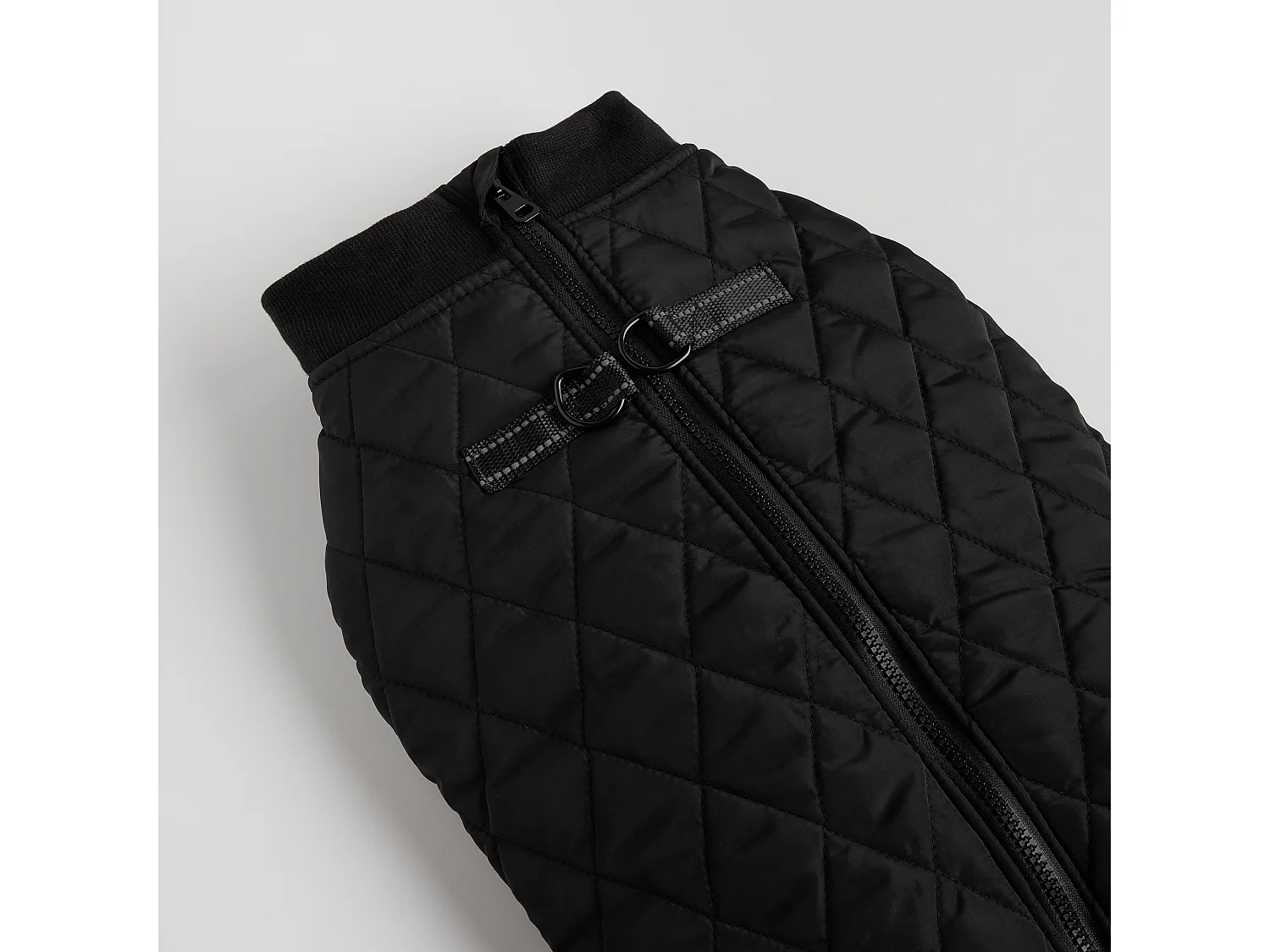 Vêtement Pour Animal Celio L Polyester