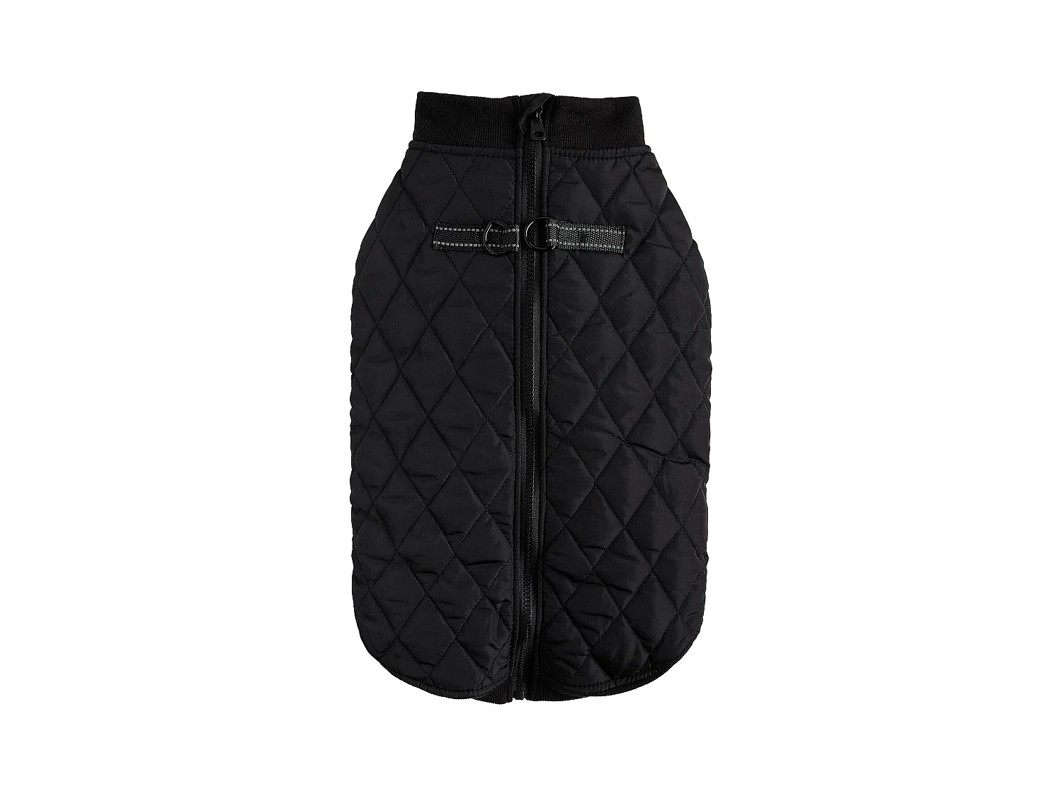 Haustier-Outfit Celio
