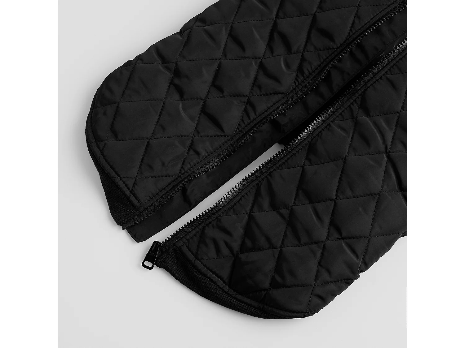 Vêtement Pour Animal Celio L Polyester