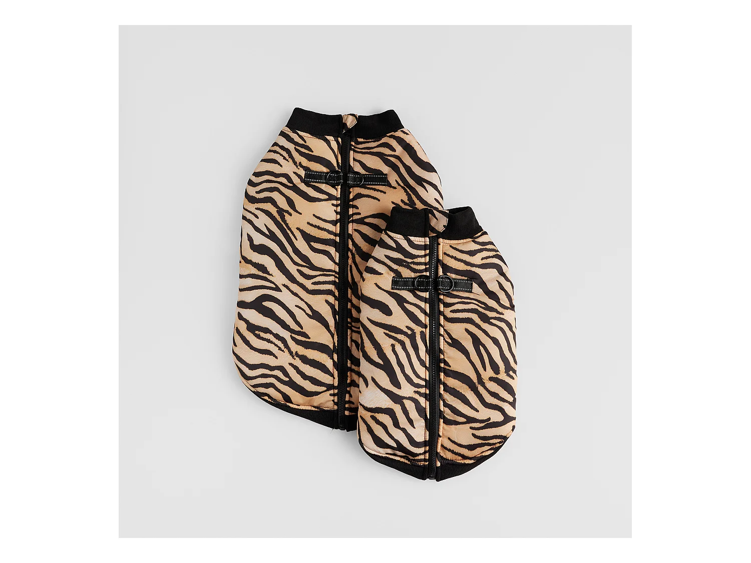 Vêtement Pour Animal Tigre Taille 32 x 52 en Polyester