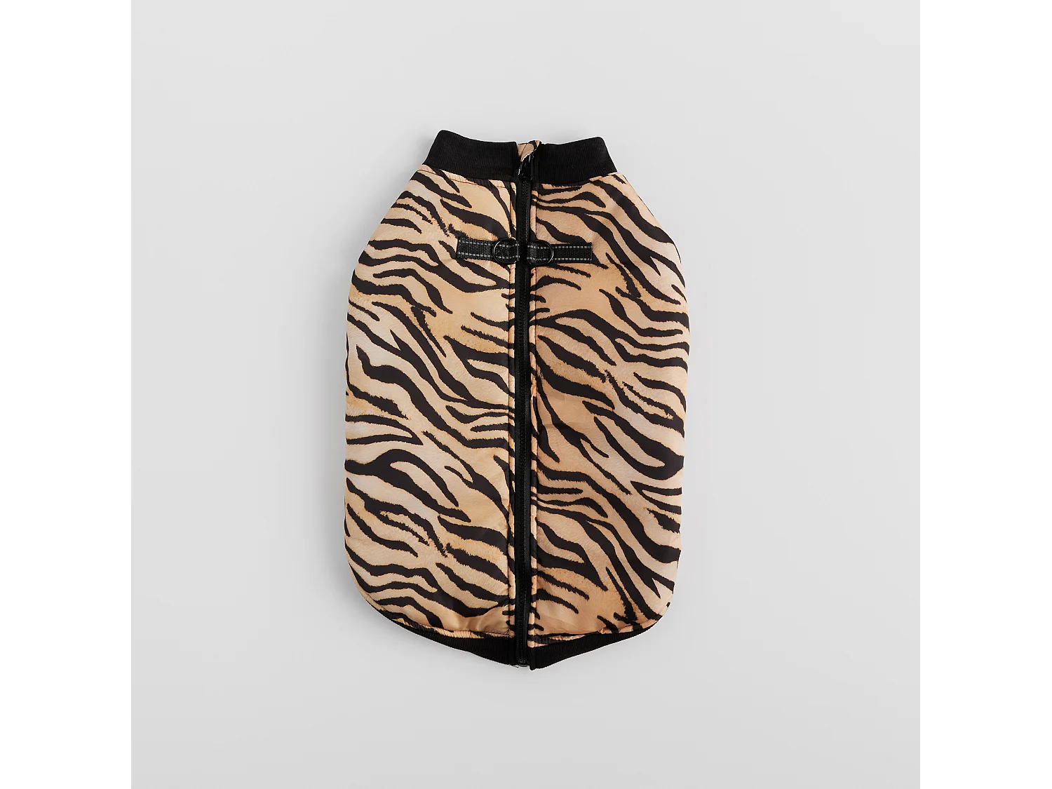 Haustier-Outfit Tigre