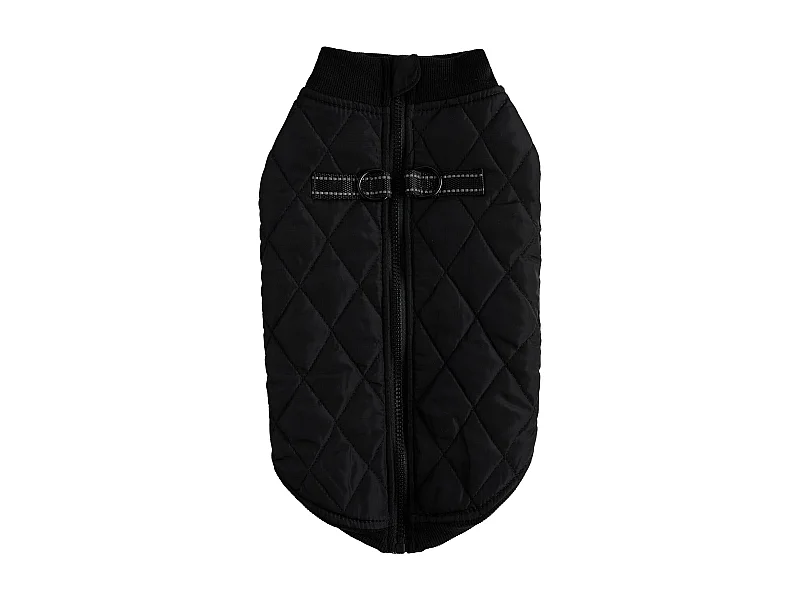 Haustier-Outfit Celio