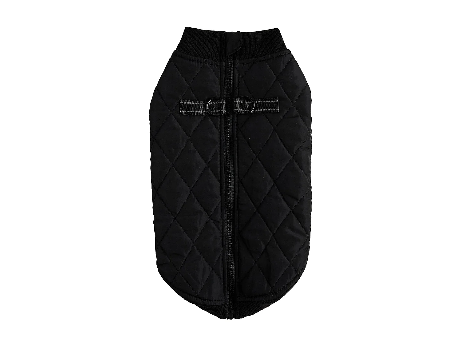 Haustier-Outfit Celio