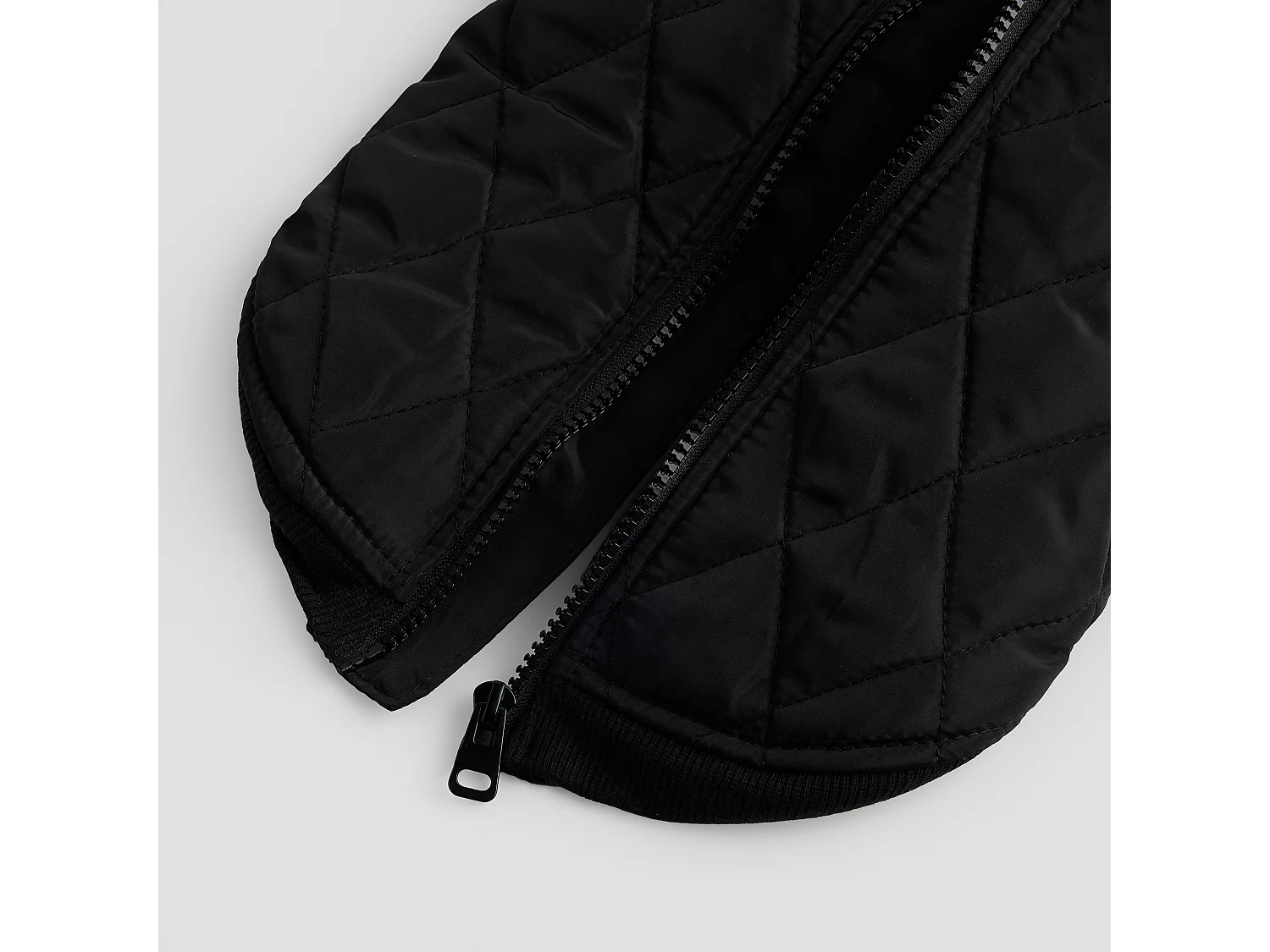 Haustier-Outfit Celio