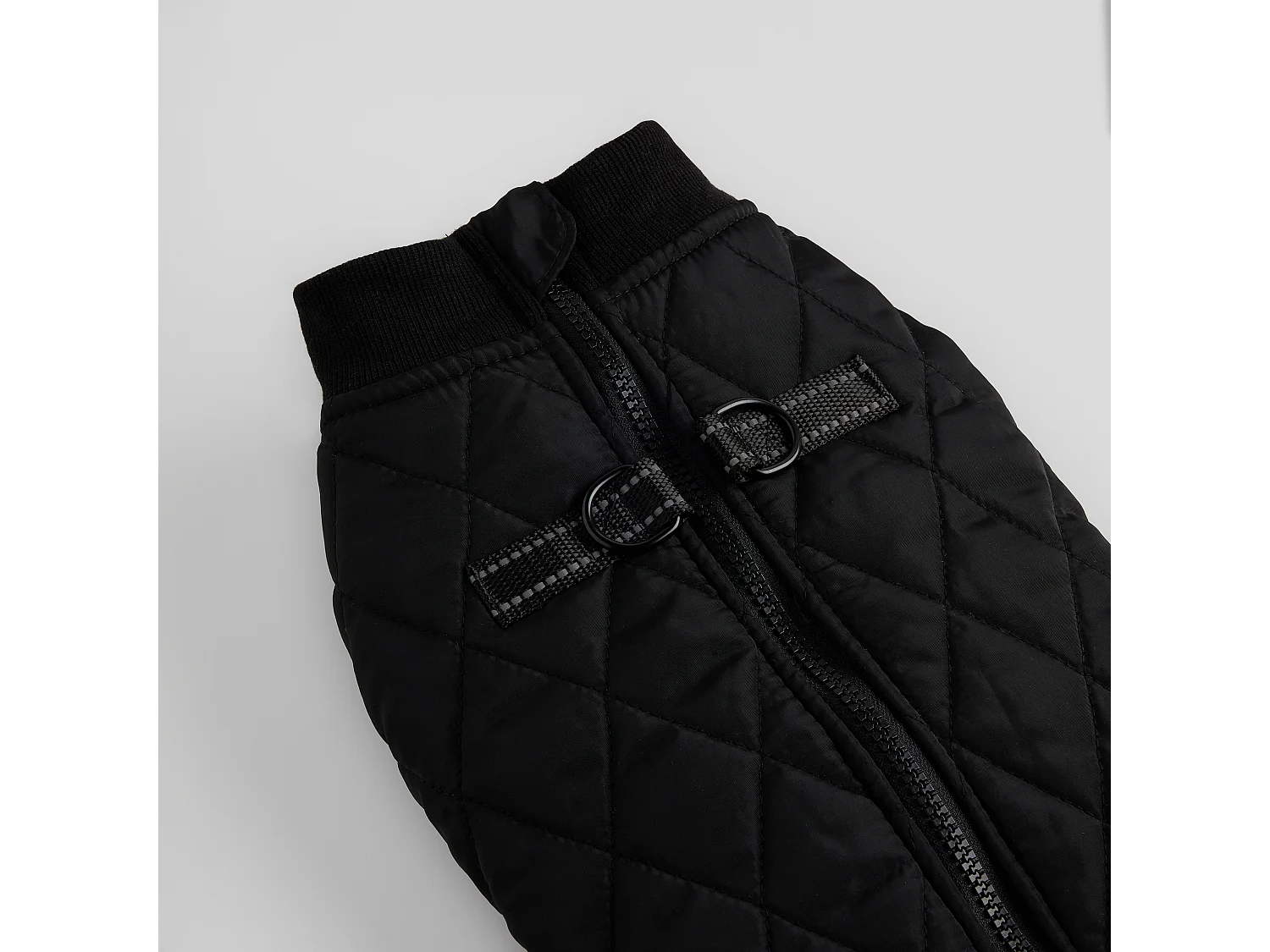 Haustier-Outfit Celio