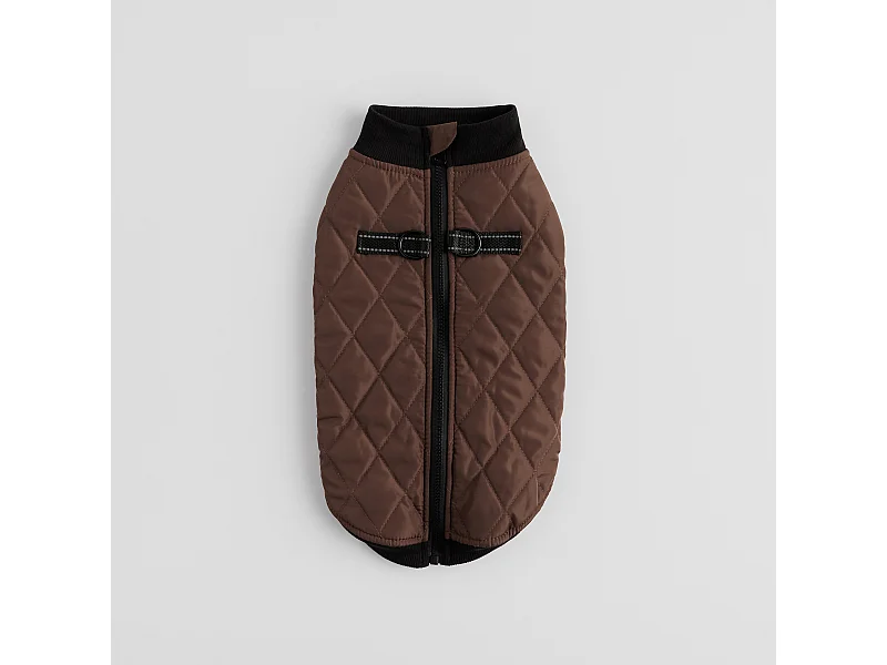 Haustier-Outfit Celio