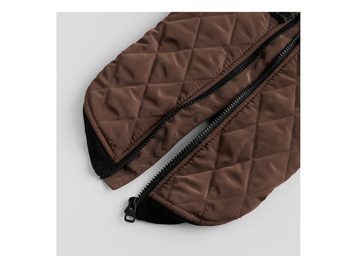 Vêtement Pour Animal Celio - Polyester, Taille M (24 x 42)