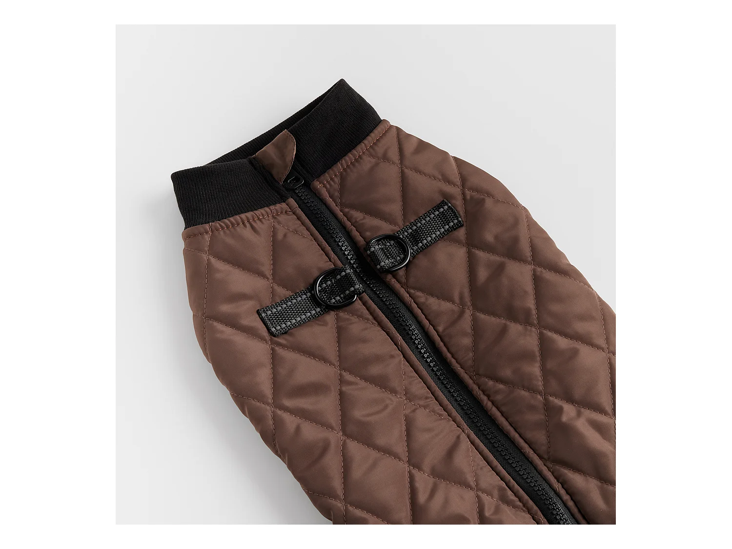 Vêtement Pour Animal Celio - Polyester, Taille M (24 x 42)