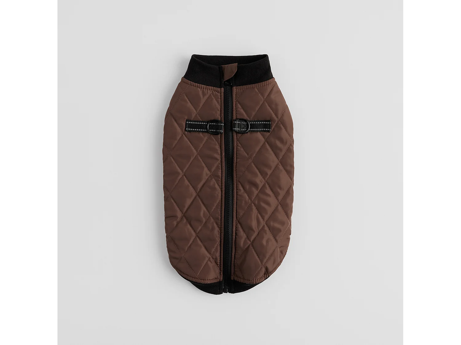 Haustier-Outfit Celio