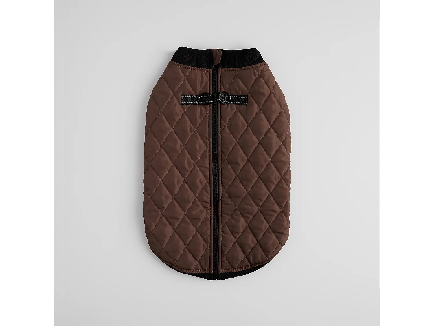 Haustier-Outfit Celio