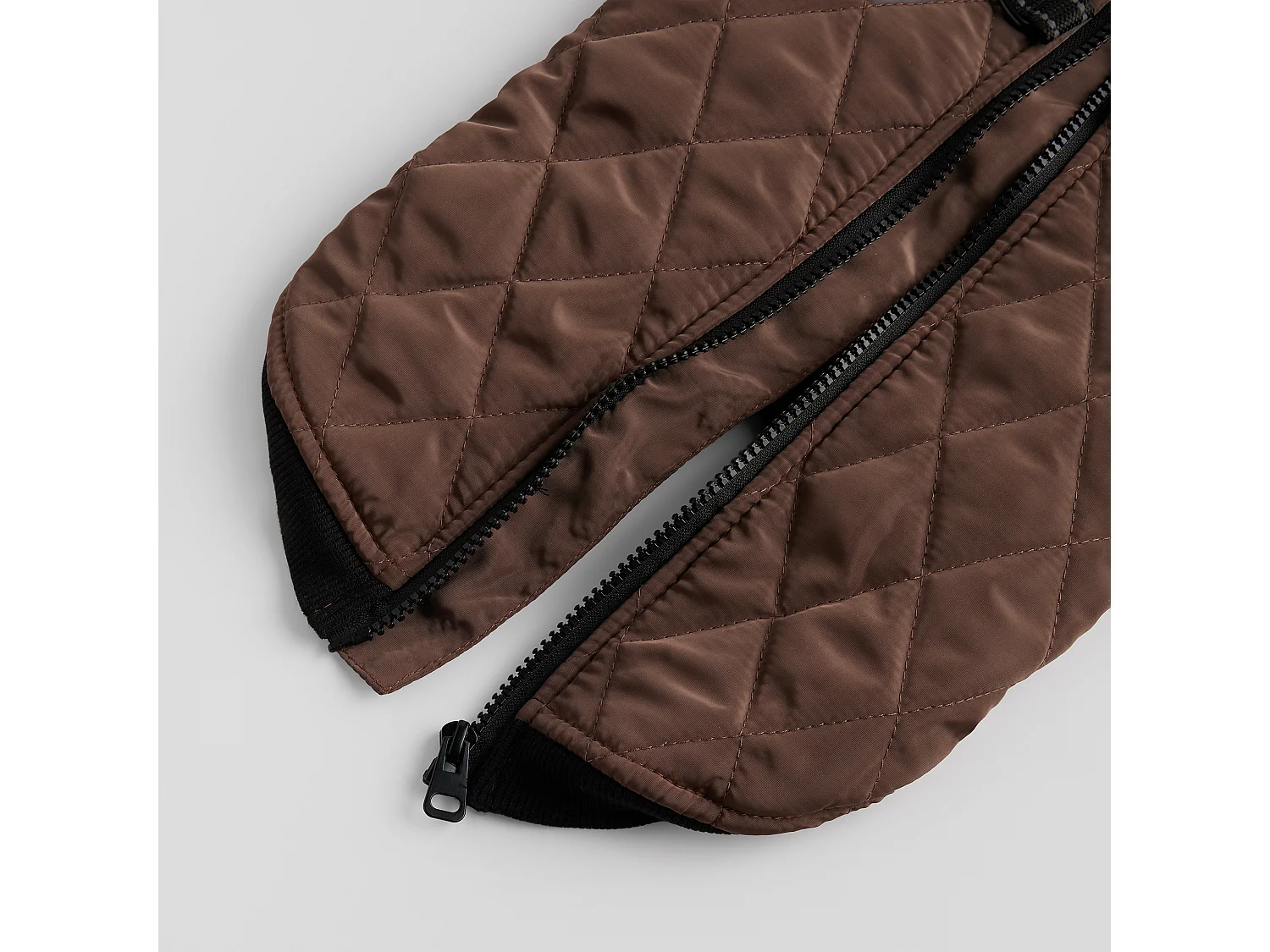 Haustier-Outfit Celio