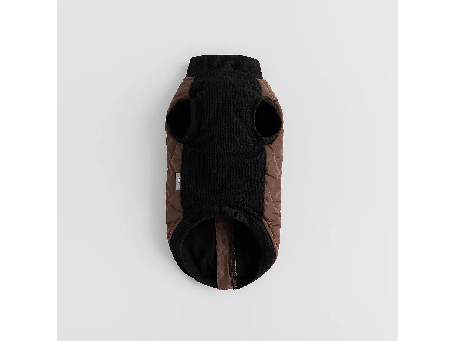 Haustier-Outfit Celio