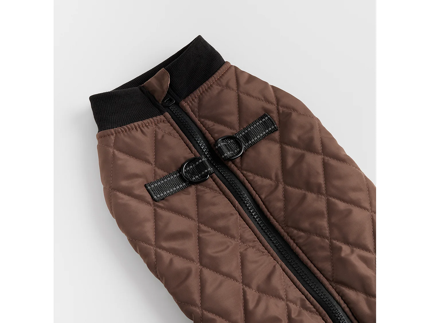 Haustier-Outfit Celio