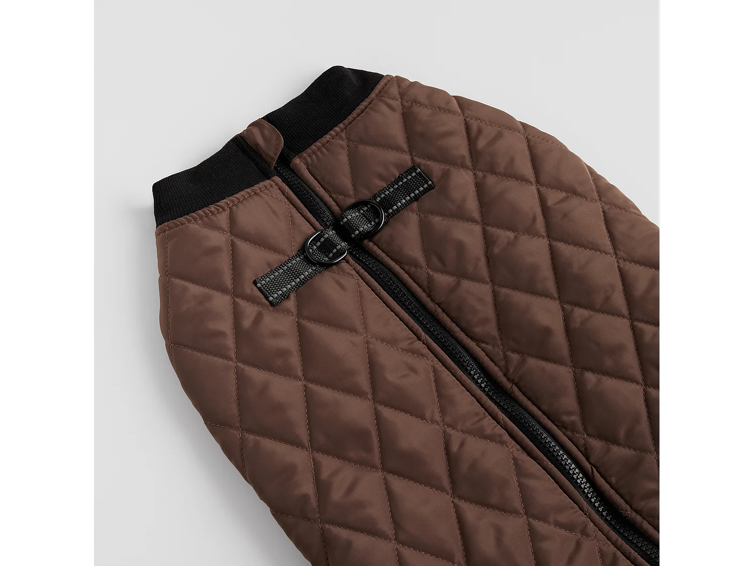 Haustier-Outfit Celio