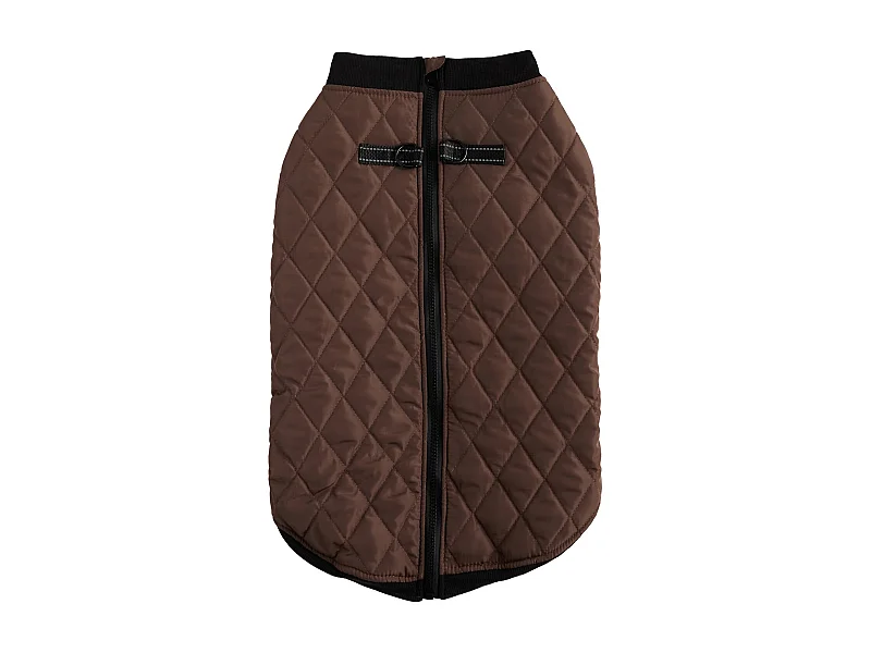 Haustier-Outfit Celio