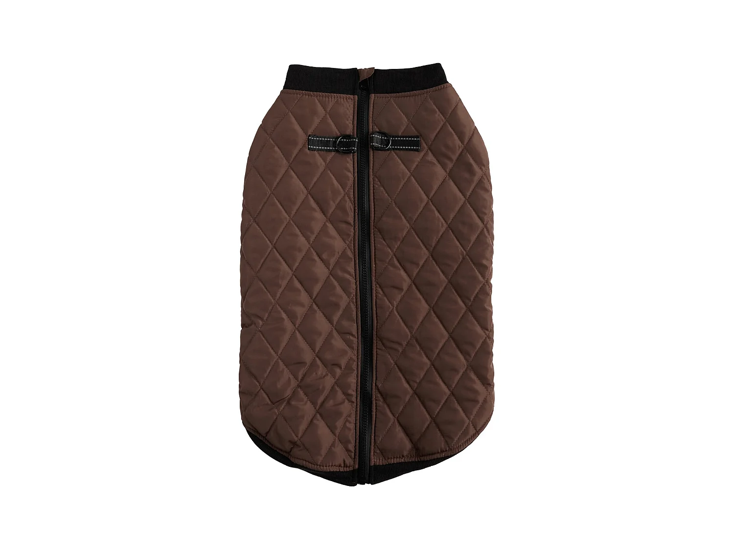 Haustier-Outfit Celio