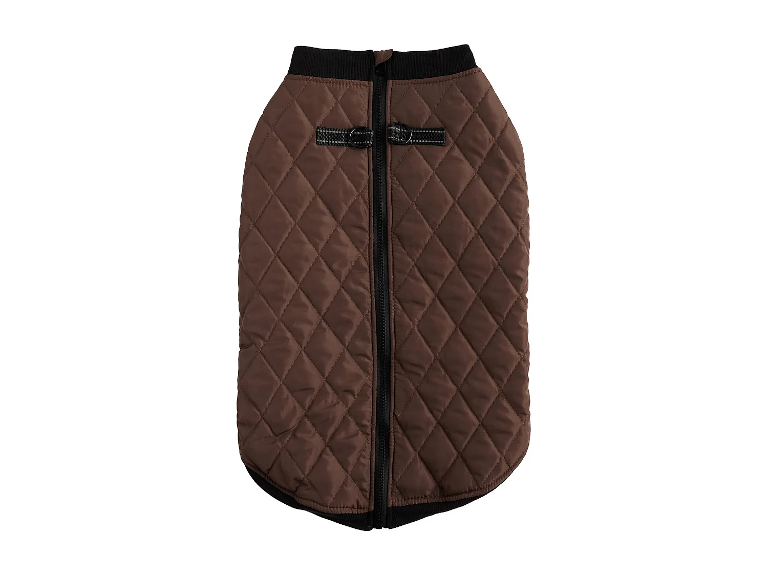 Haustier-Outfit Celio