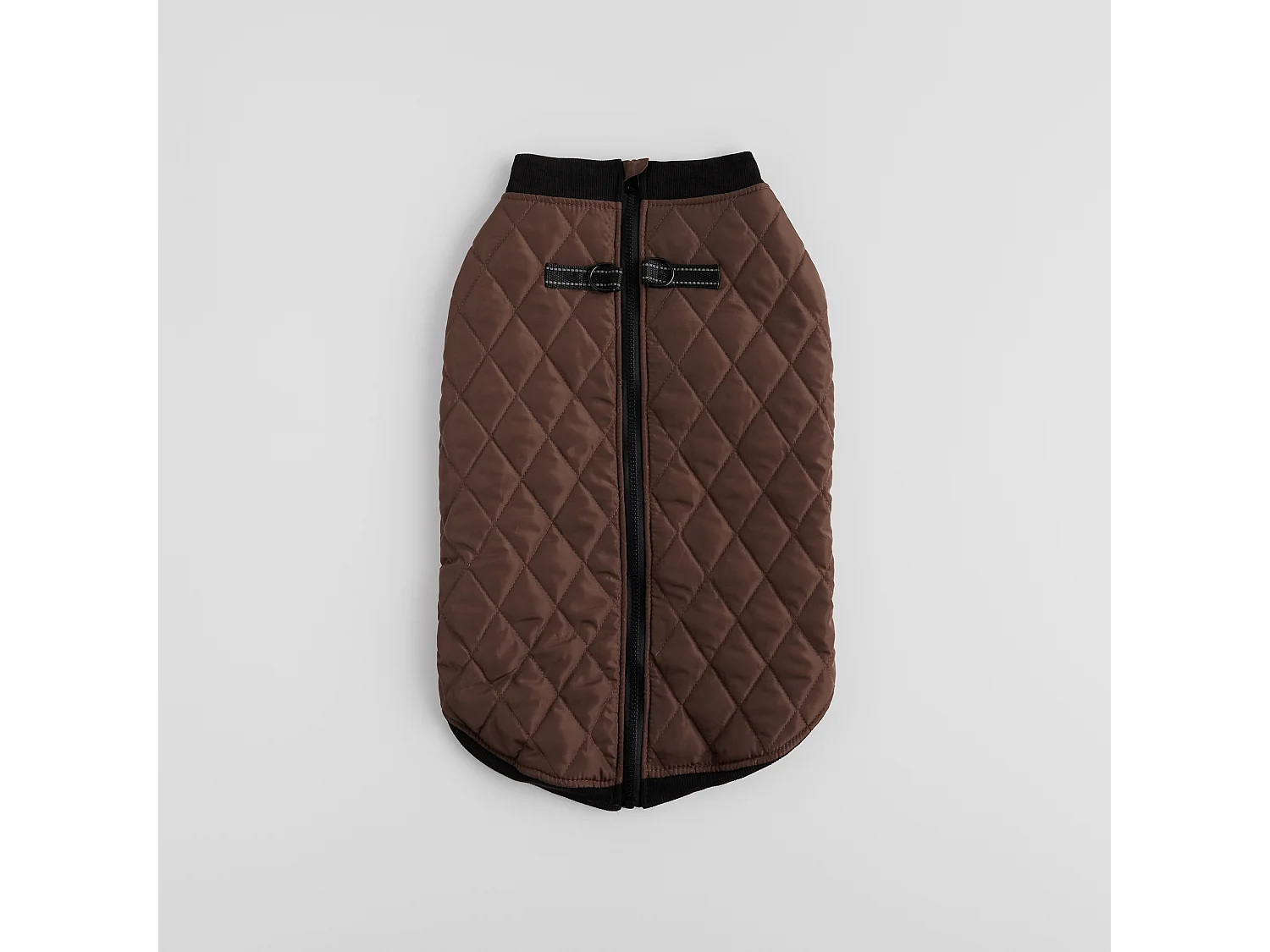 Haustier-Outfit Celio