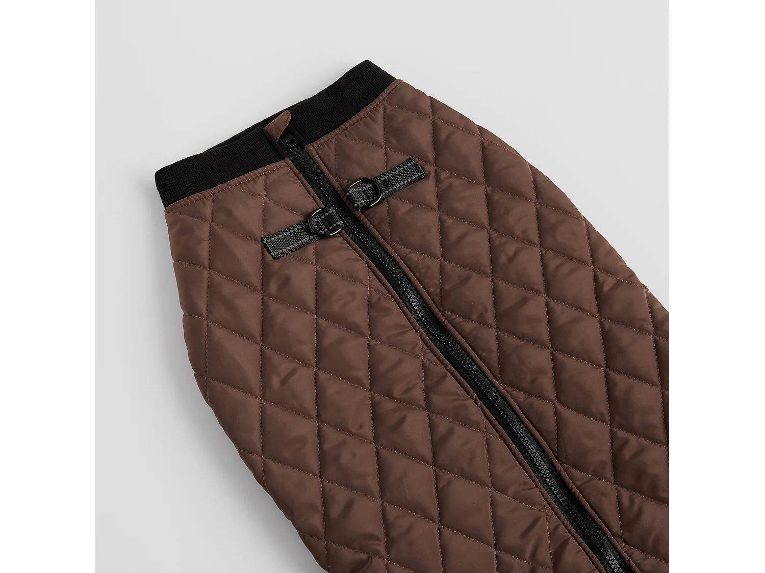 Haustier-Outfit Celio