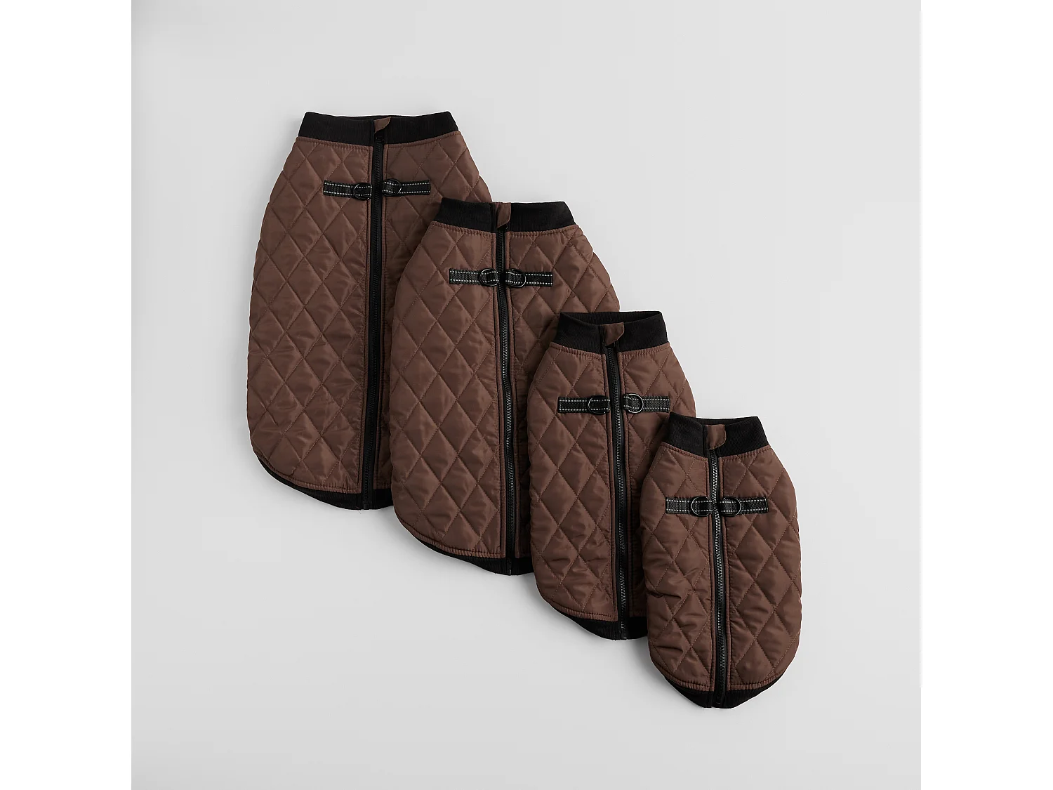 Haustier-Outfit Celio