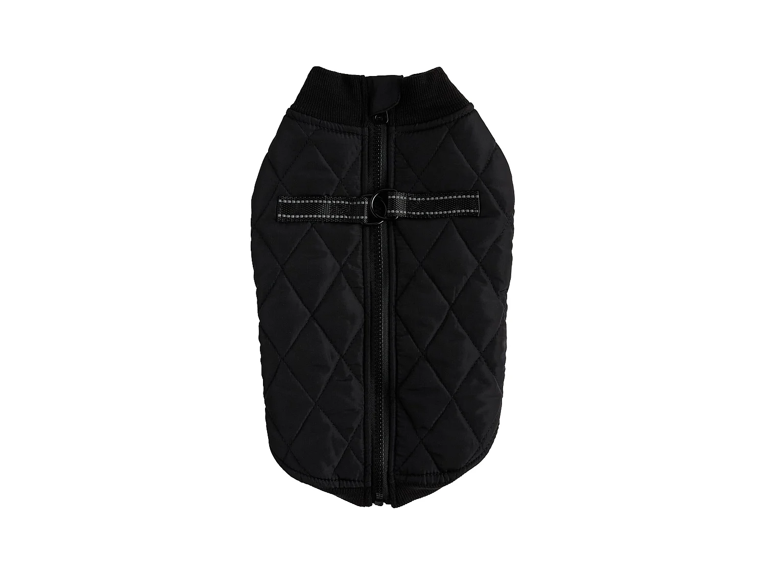 Haustier-Outfit Celio