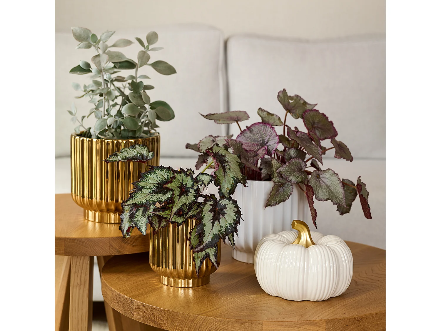 Cache pot Veronique Or Moyen 19.5 x 20.5