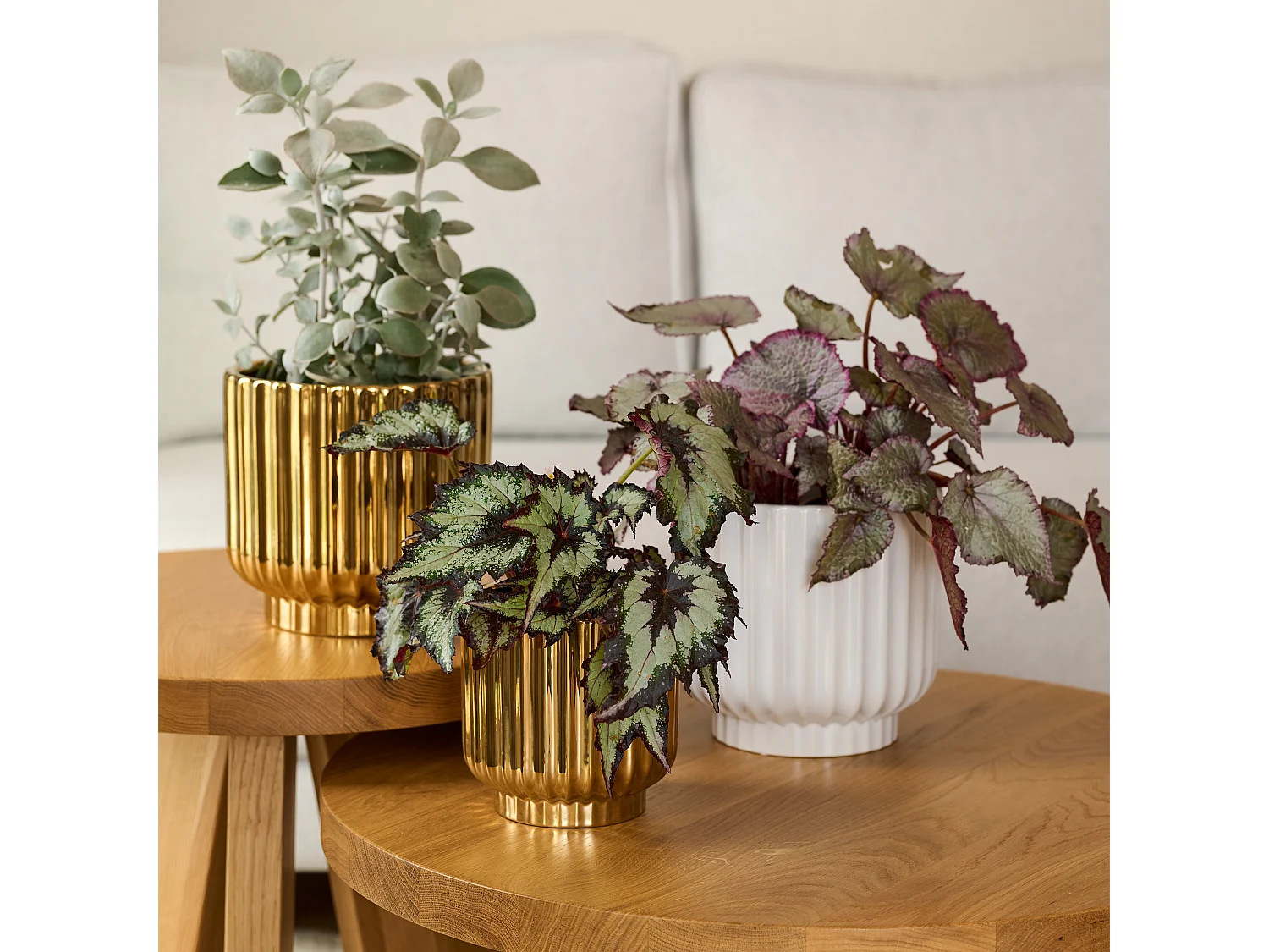 Cache pot Veronique Or Moyen 19.5 x 20.5