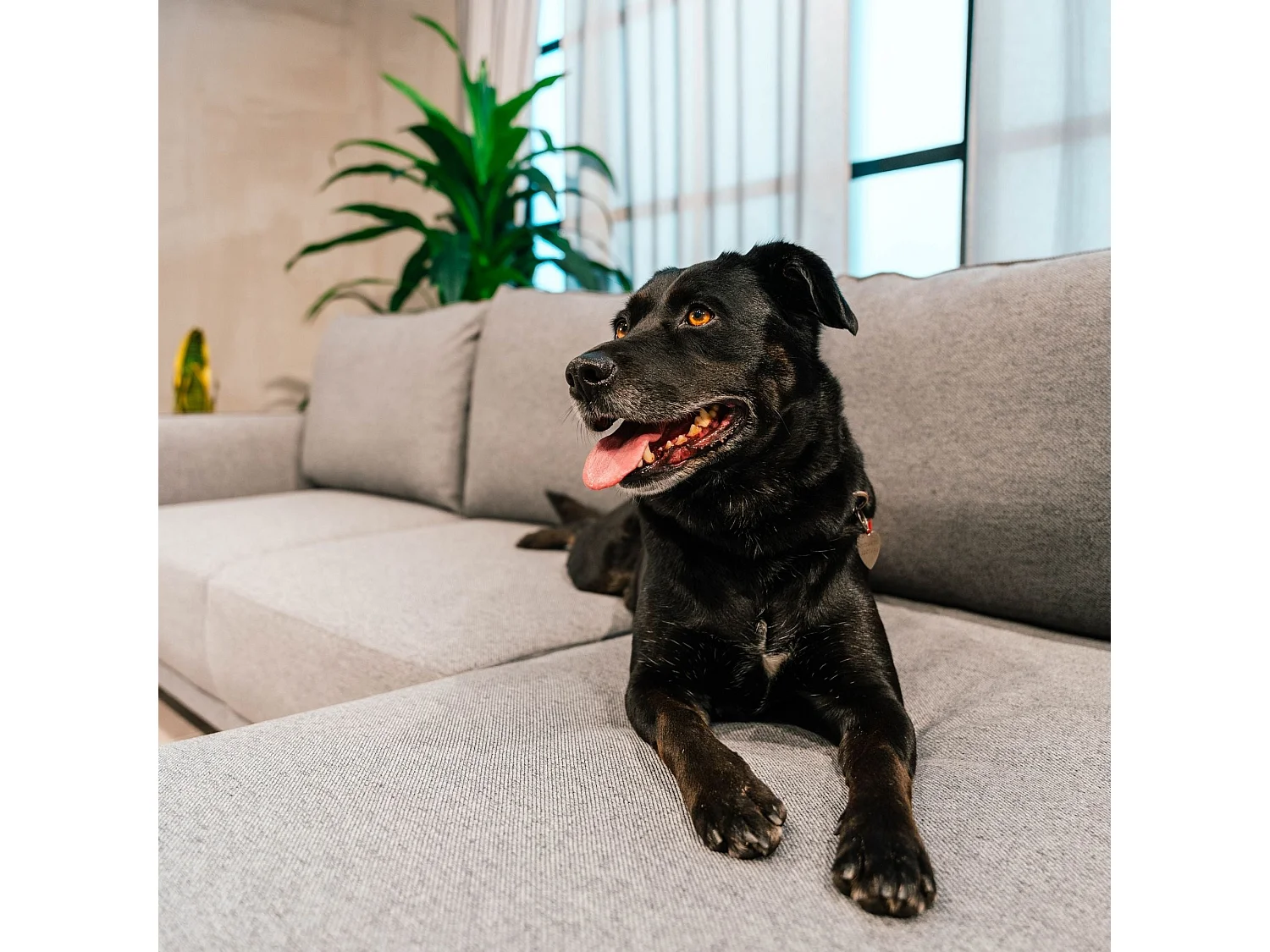 BUDWING Canapé-Lit Chaise Longue Toby Gris Tempête - 4 Places - 260,5x156x92 cm