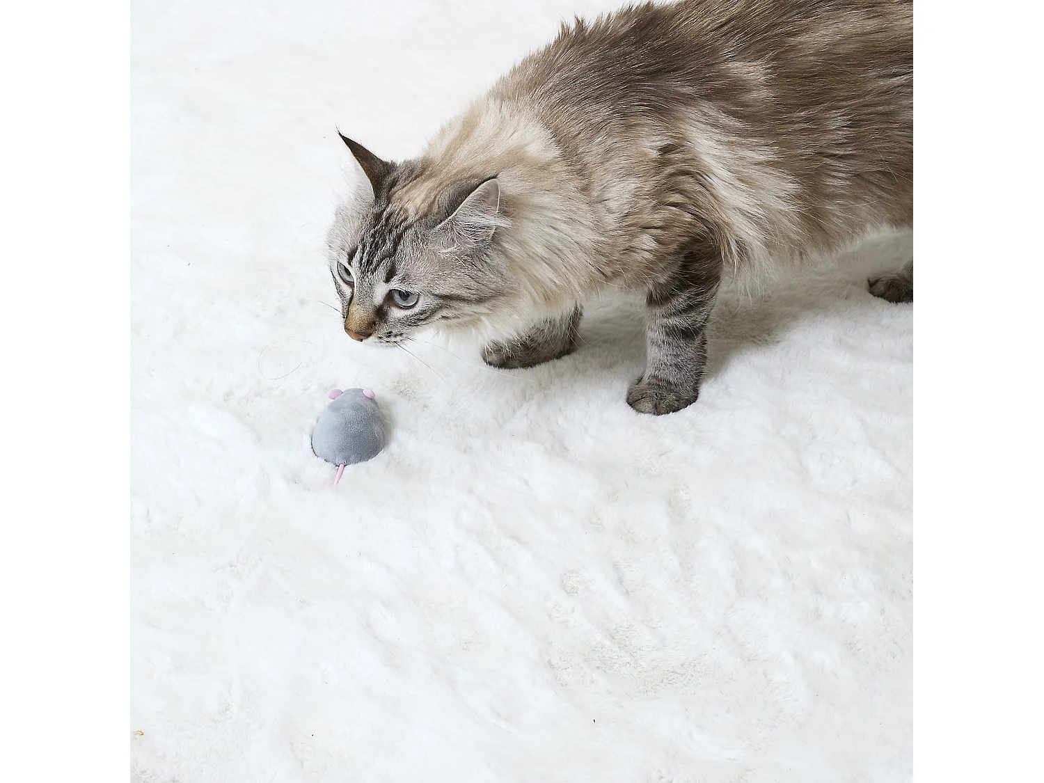 Jeu Souris Telecommande Pour Chat Rose, Gris