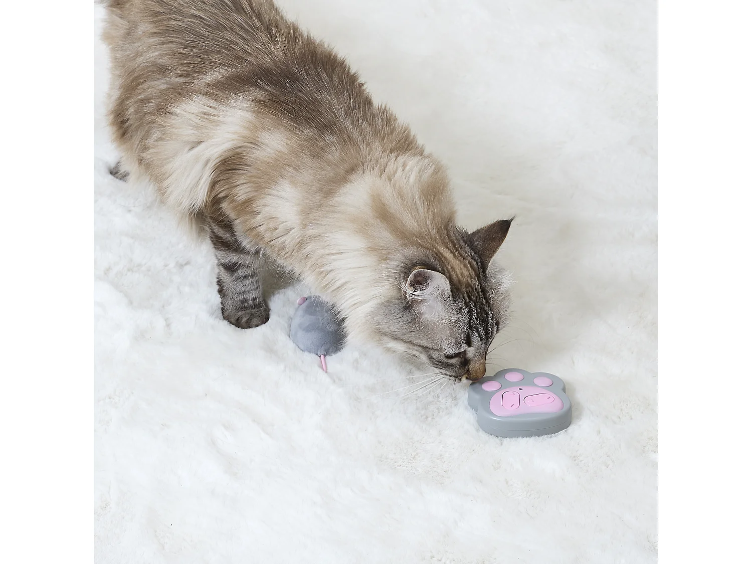 Jeu Souris Telecommande Pour Chat Rose, Gris