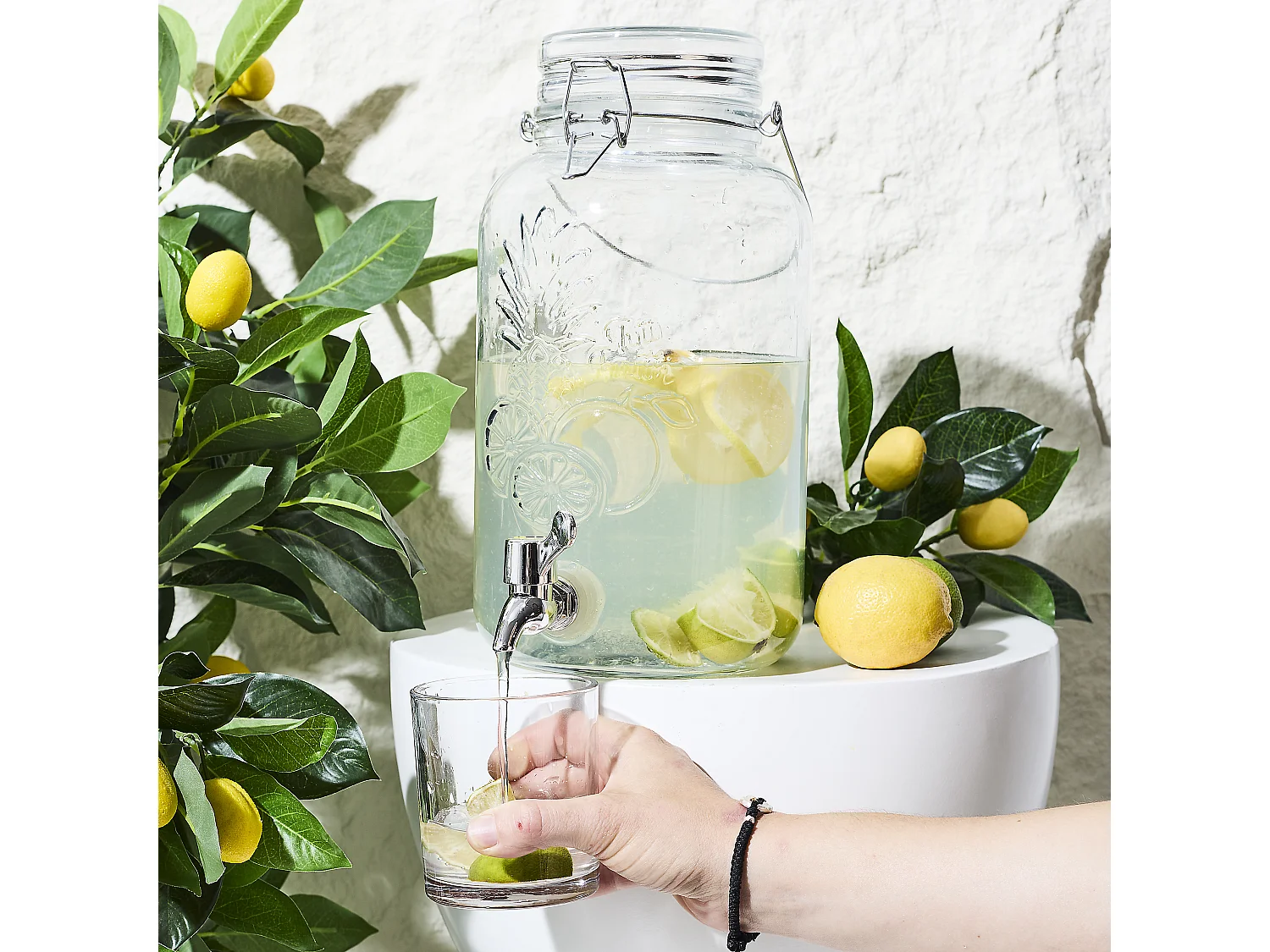 Fontaine Boisson 4l Transparent