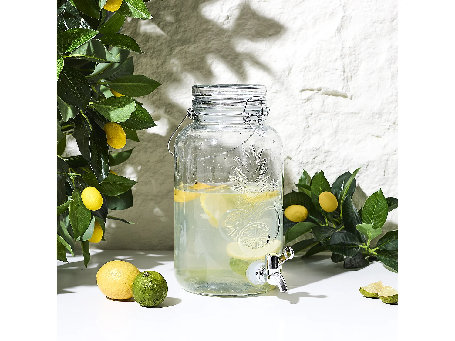 Fontaine Boisson 4l Transparent