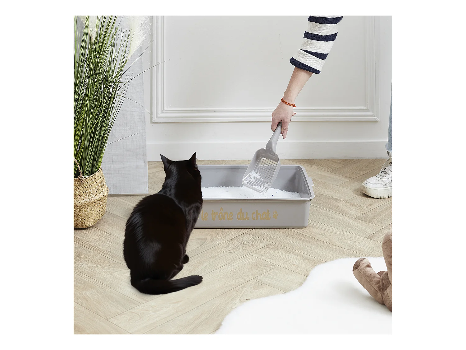 Litiere Avec Pelle Gris