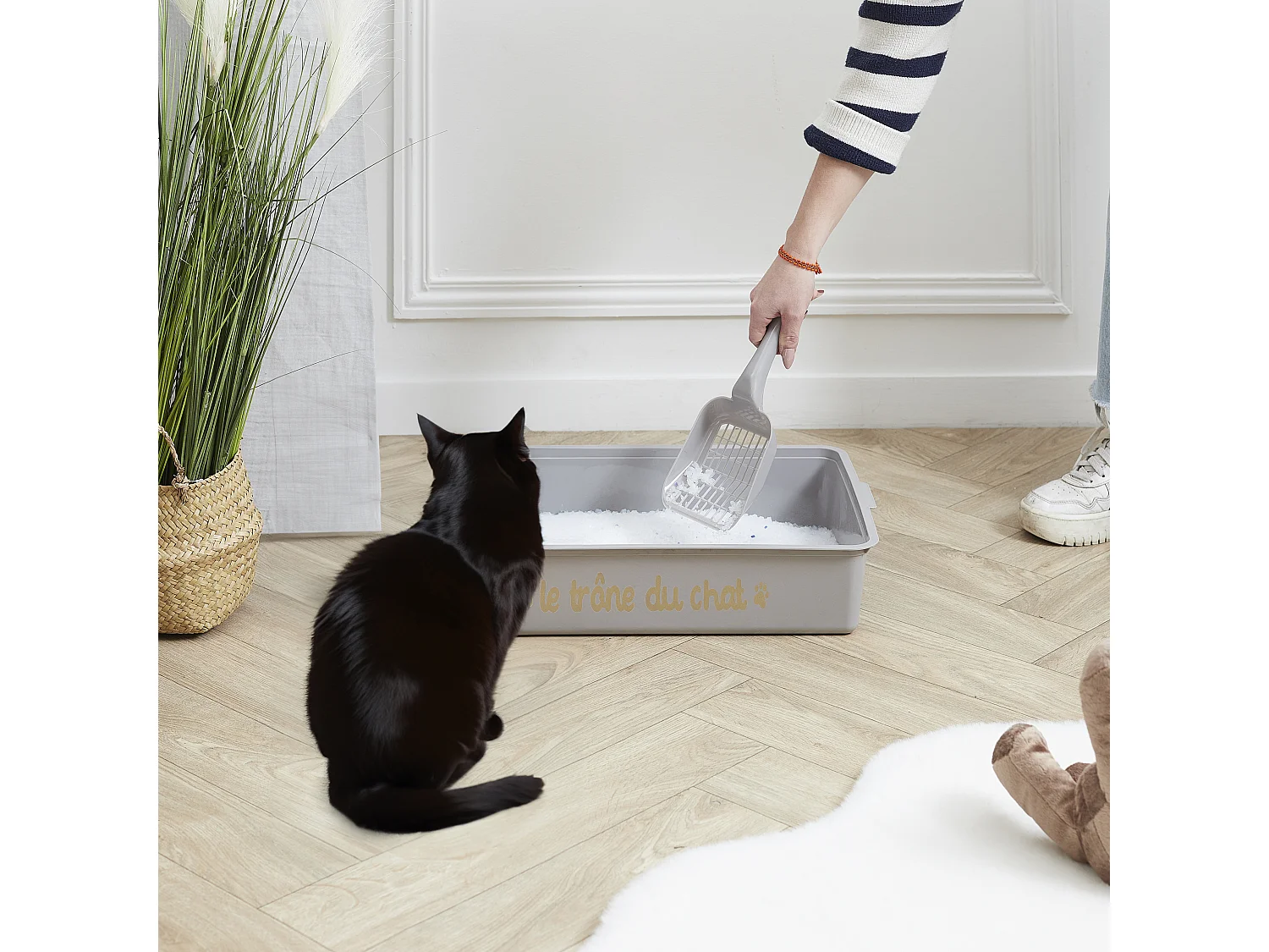 Litiere Avec Pelle Gris