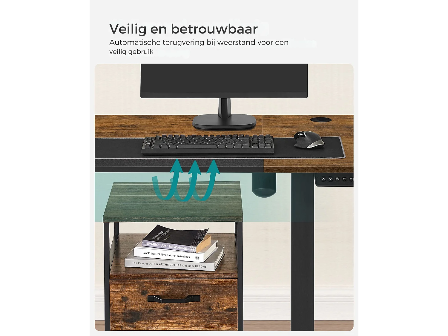 Parya Home Elektrisch Verstelbaar Bureau 120 x 60 cm – Hoogte Verstelbaar met Geheugenfunctie