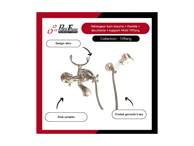 Mélangeur BAIN douche flexible + douchette + support  PAINI Tiffany Gris Acier