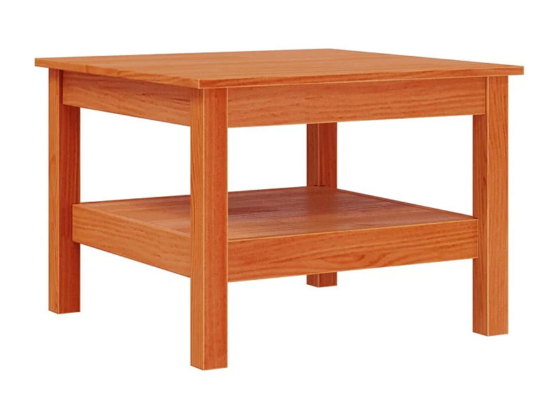 Table basse avec étagère bois marron 55 x 55 x 40 cm DEC039084