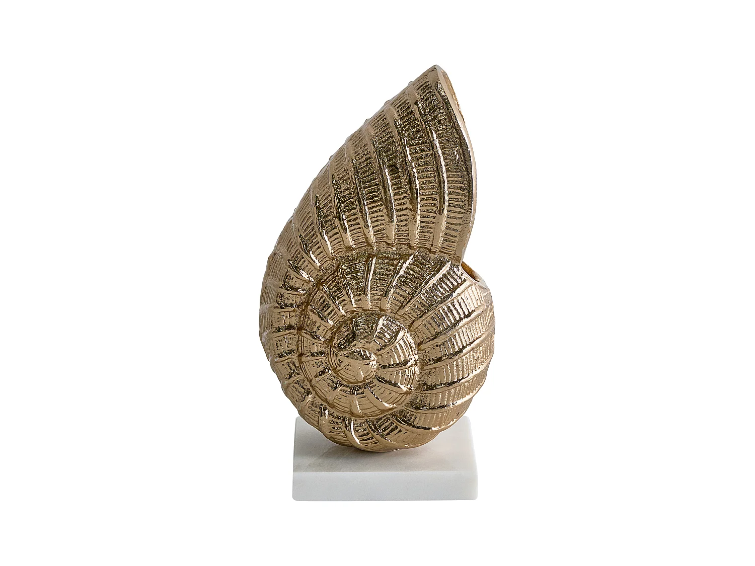 Accessoire Décoratif Coquillage TULJE Métal Doré