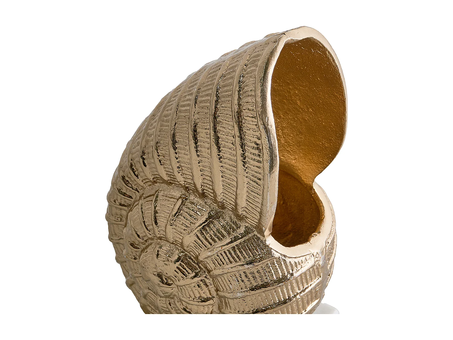 Accessoire Décoratif Coquillage TULJE Métal Doré