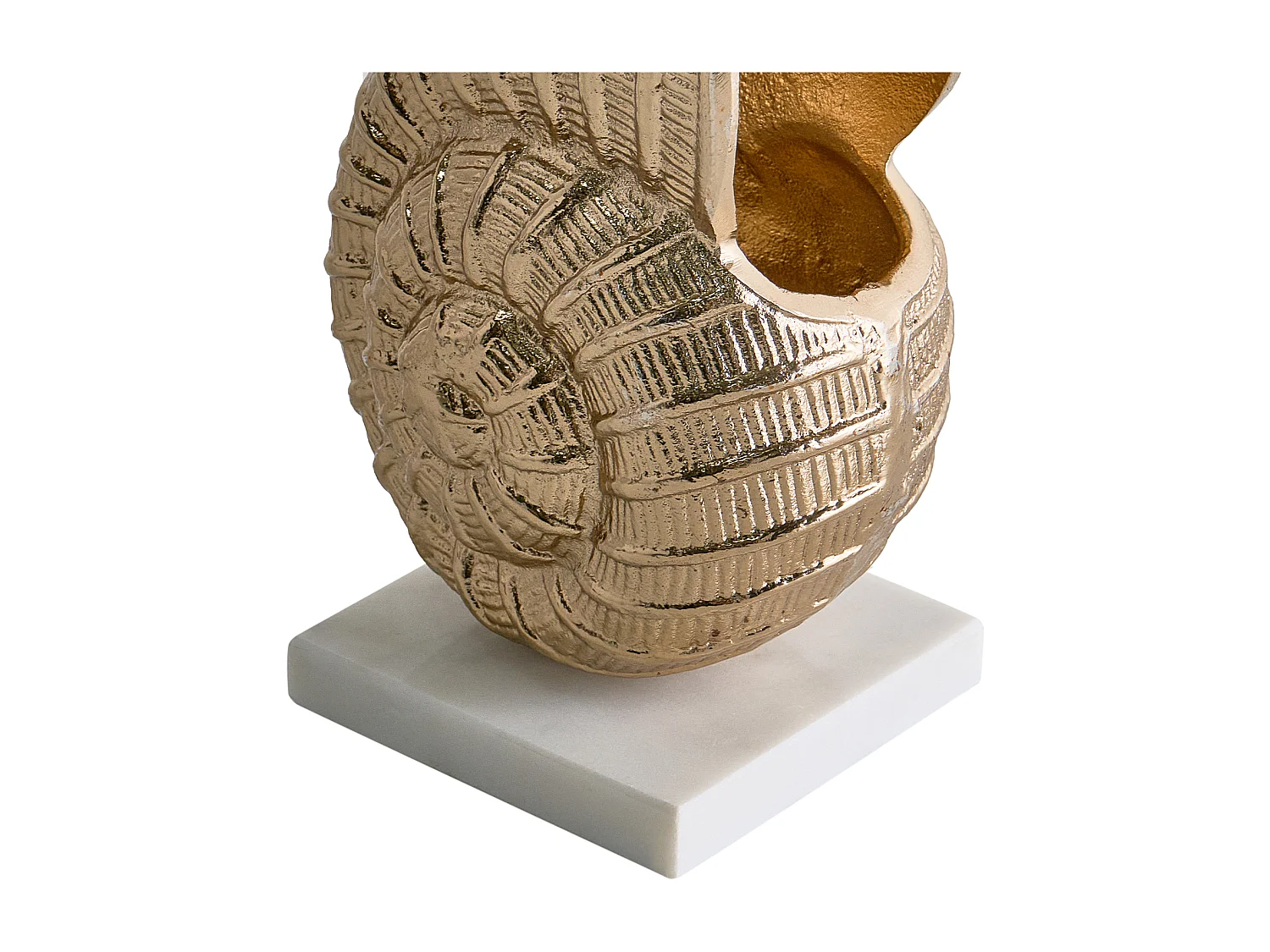 Accessoire Décoratif Coquillage TULJE Métal Doré