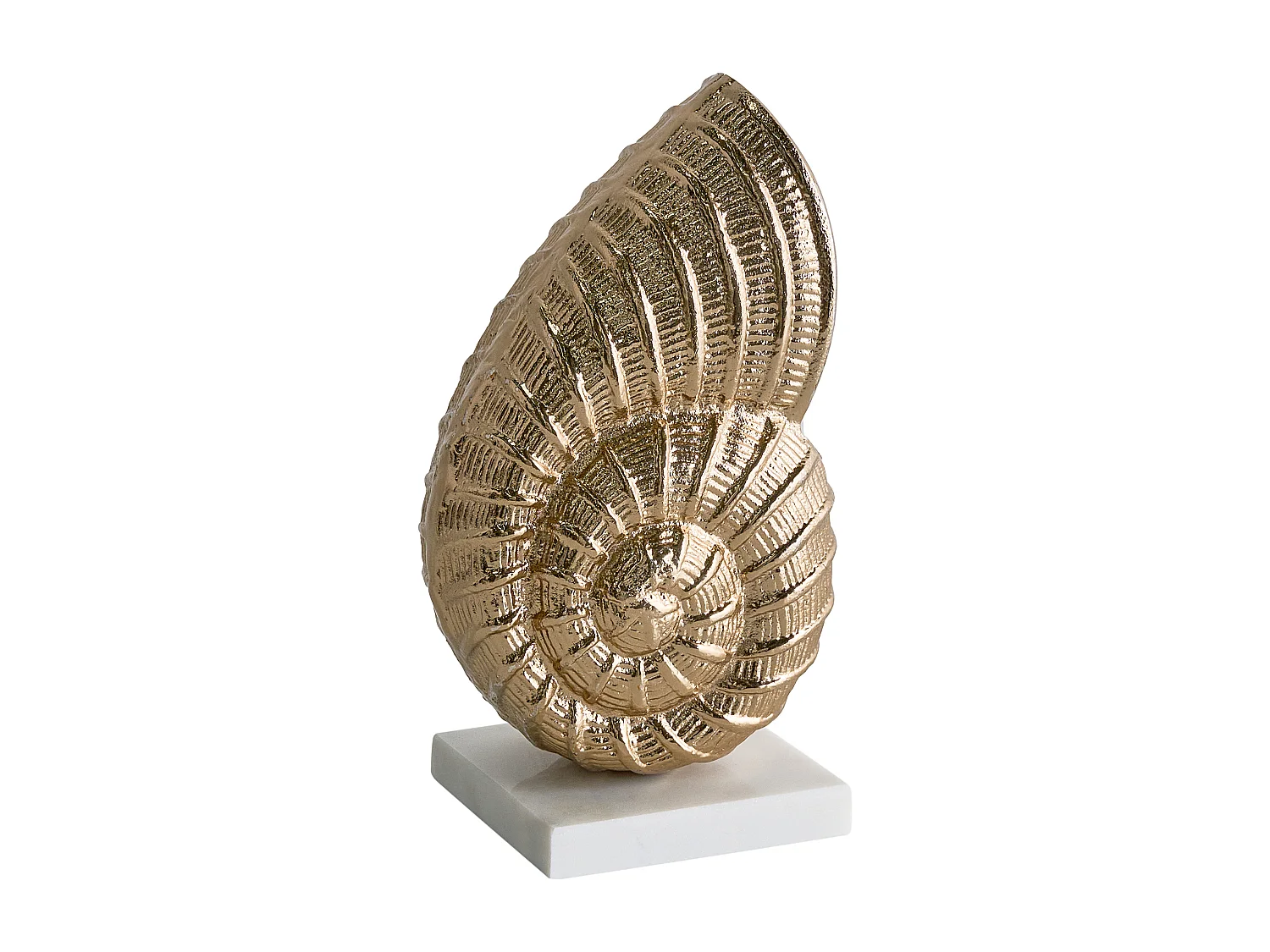 Accessoire Décoratif Coquillage TULJE Métal Doré